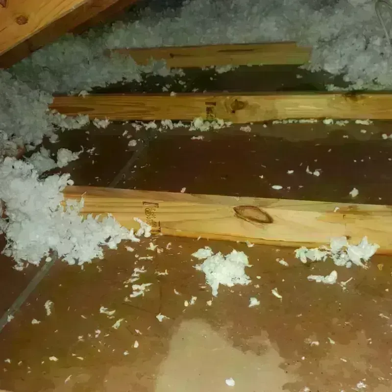 Attic Water Damage in McConnelsville, OH